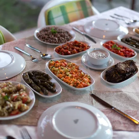 Oda ve Kahvaltı Garden Dalyan