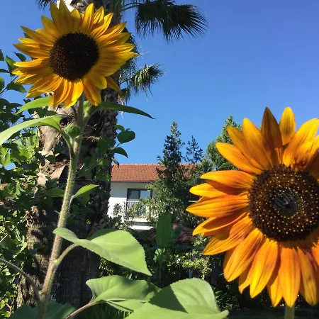 Garden Oda ve Kahvaltı Dalyan