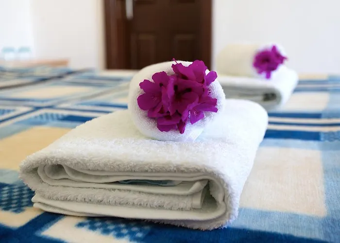 Bed & Breakfast Garden *