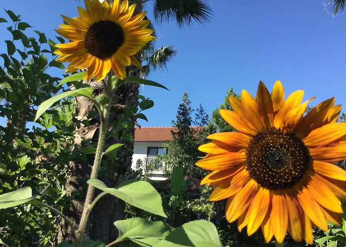 Garden Bed & Breakfast Dalyan