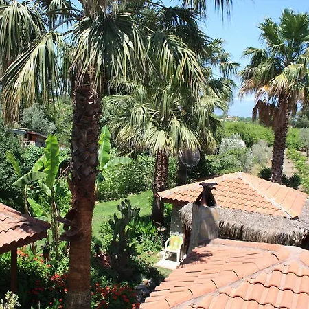 Bed and Breakfast Garden *