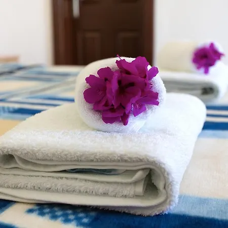 住宿加早餐酒店 Garden *