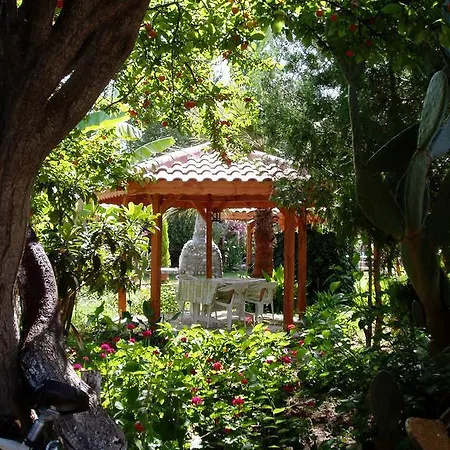 Garden *